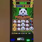 panda slot auto